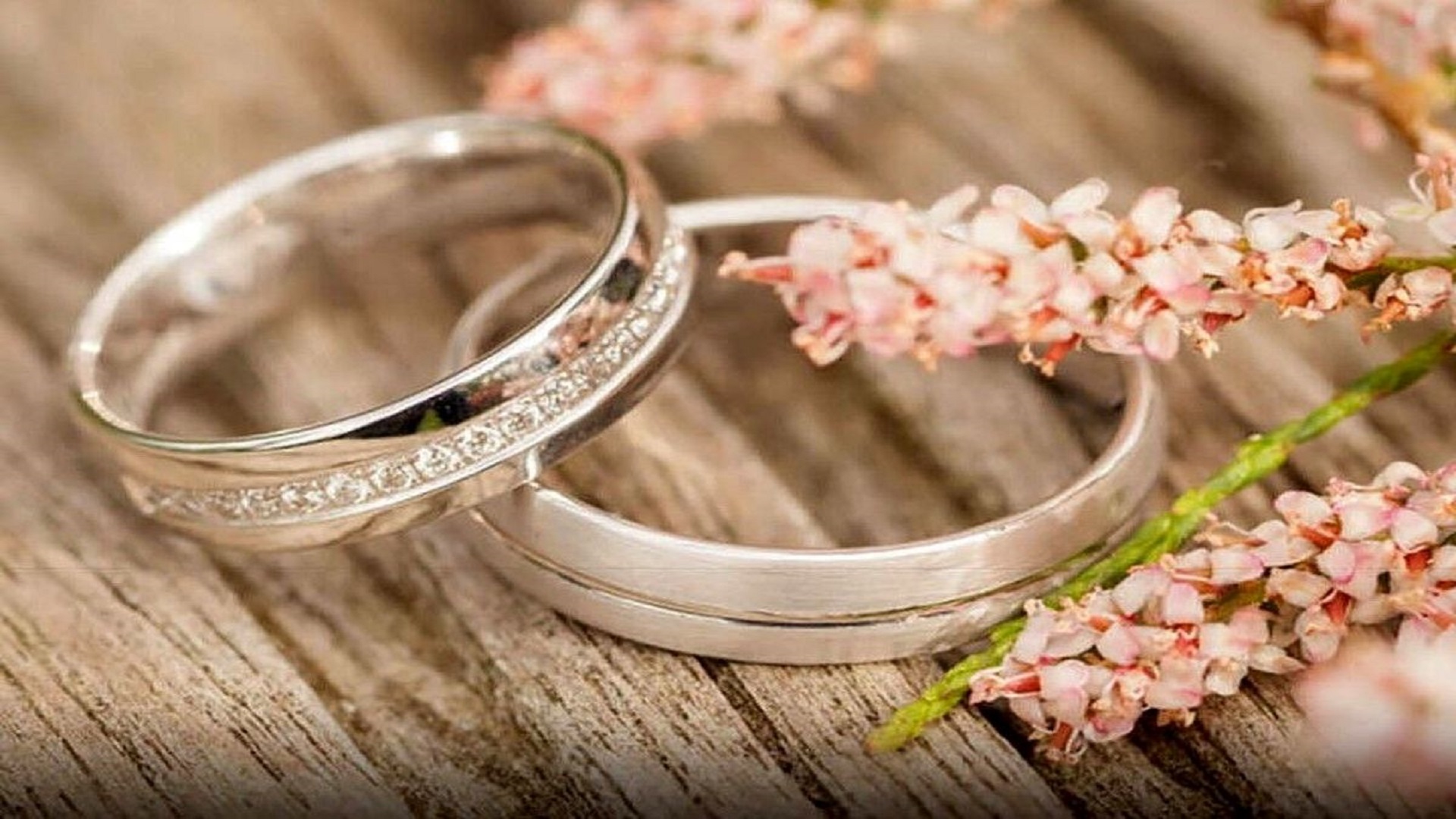 همسر مناسب، همسفر زندگی